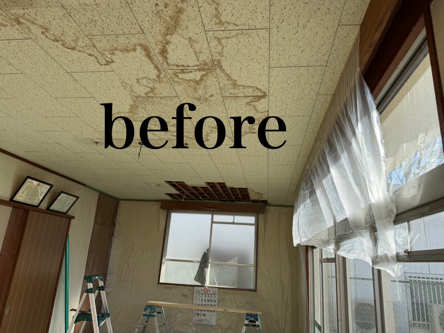 LINE_ALBUM_before・after_260603_44