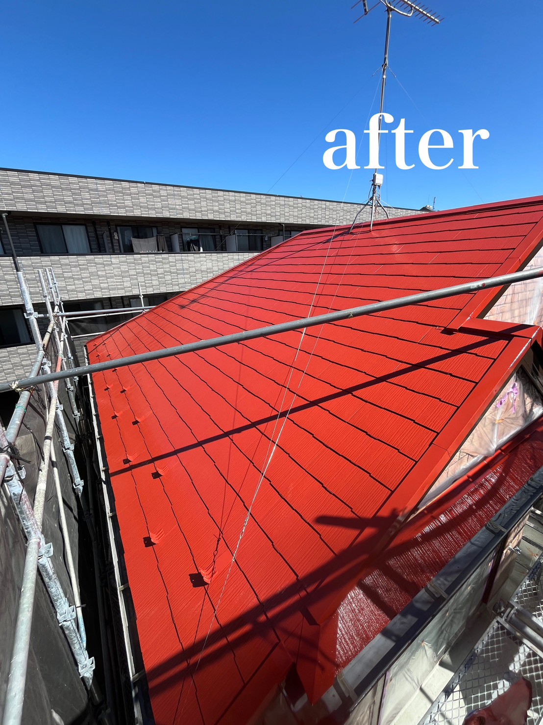 LINE_ALBUM_before・after_260603_5