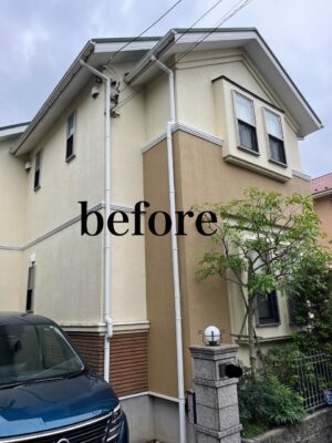 IMG_3847.jpeg